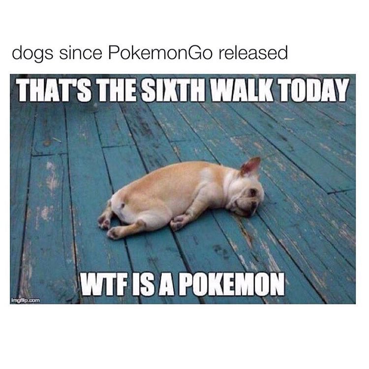 frenchie_pokemon